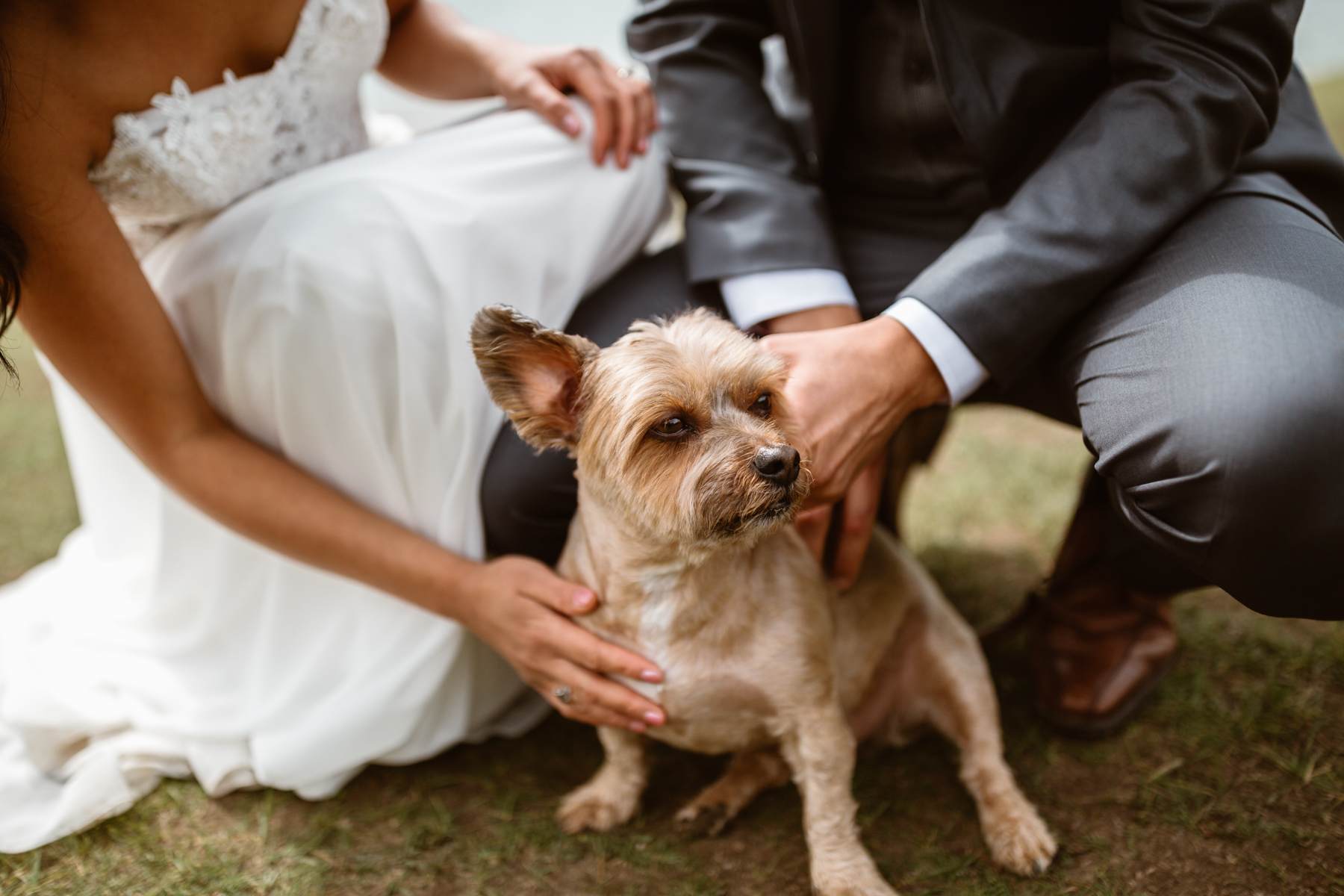 Intimate Wedding Photographers in Banff National Park - Photo 37