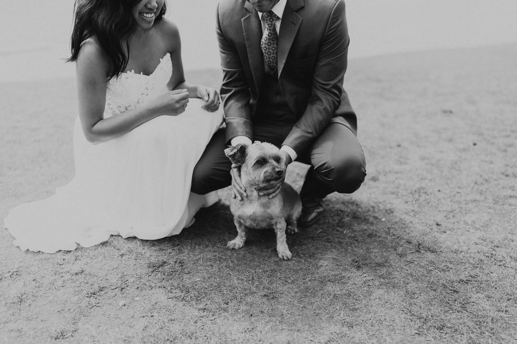 Intimate Wedding Photographers in Banff National Park - Photo with Dog