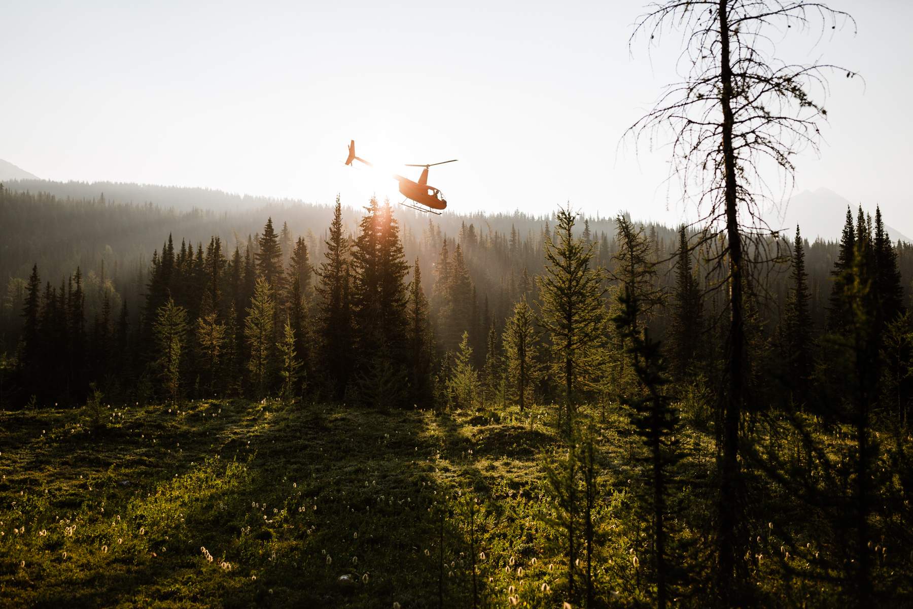 Banff Helicopter Elopement Photographers - Image 31