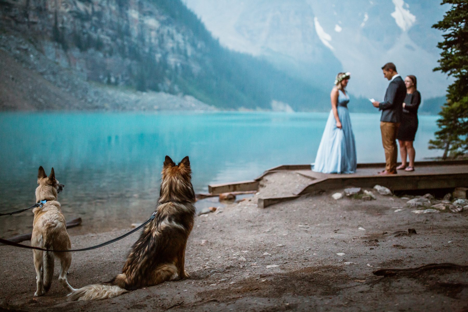 Best BC Wedding Photographers in Canada - Image 23