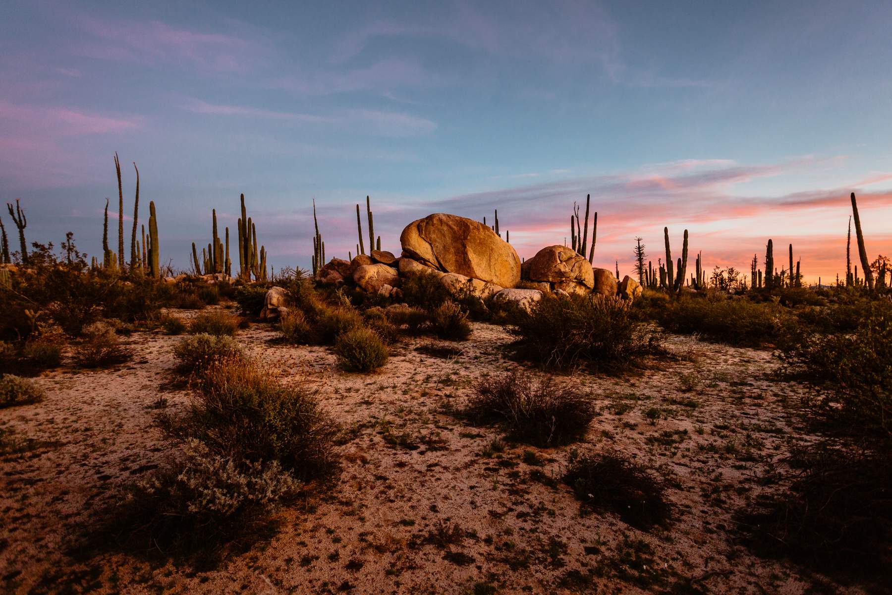 Mexico Wedding Photographers in Baja California Destination - Photo 10