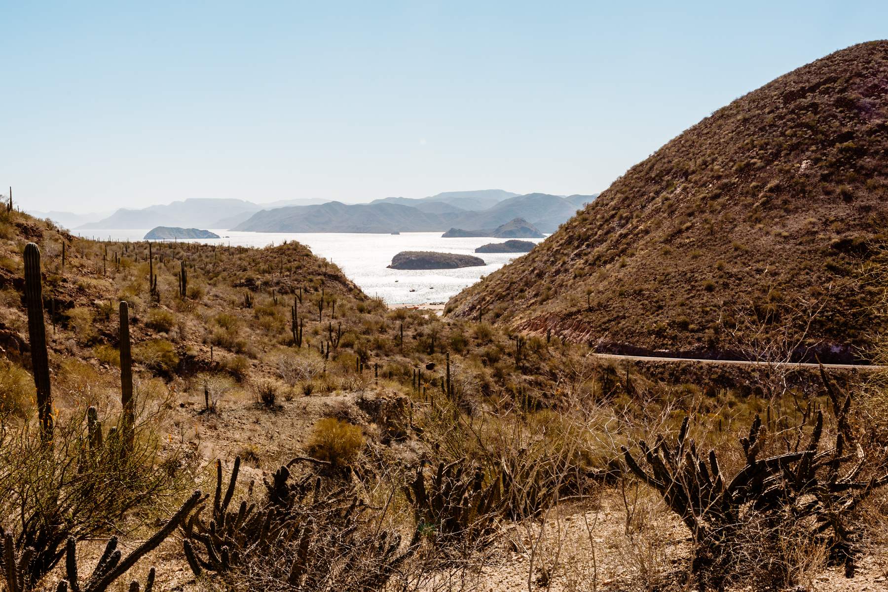 Mexico Wedding Photographers in Baja California Destination - Photo 15