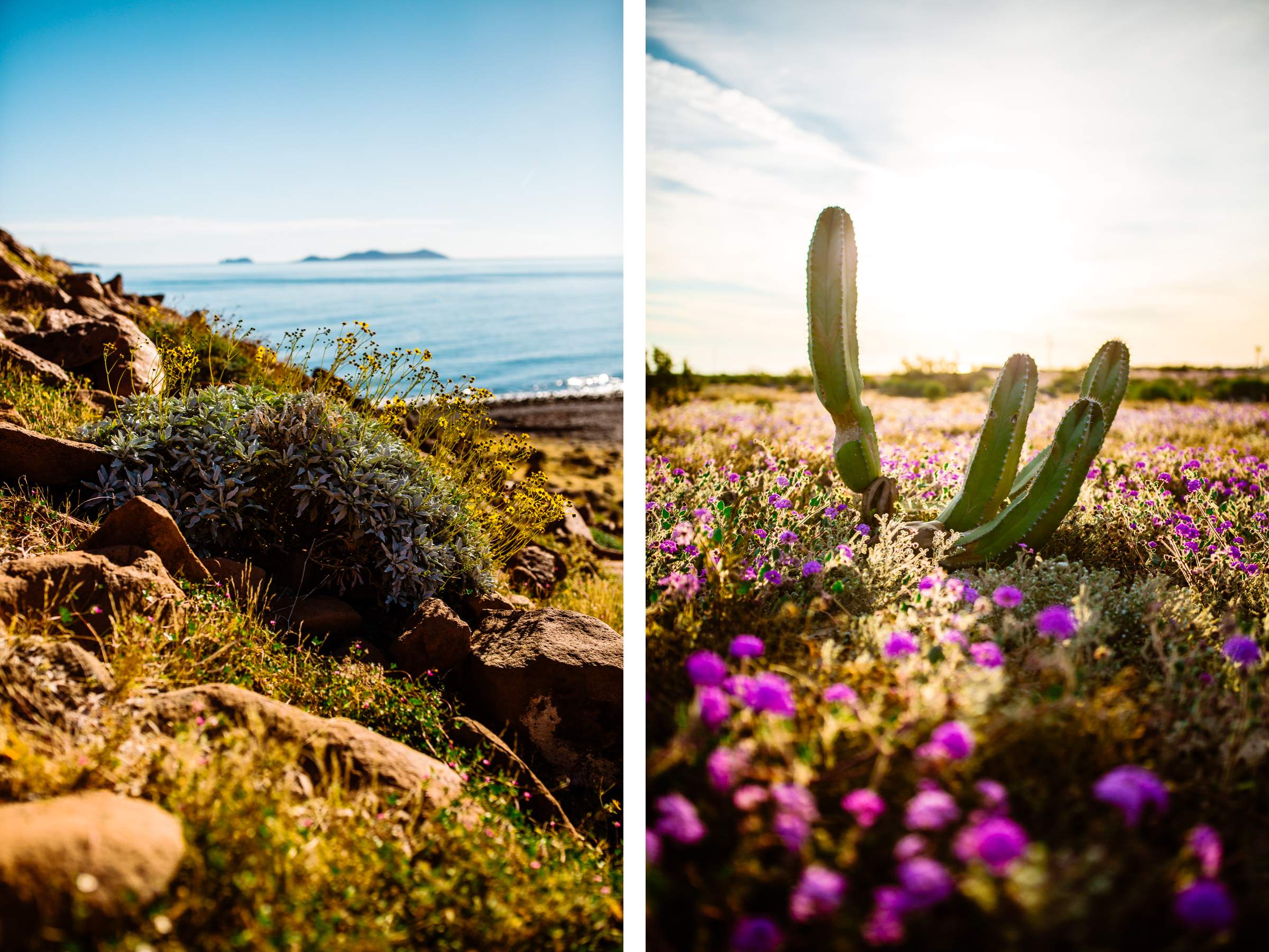 Mexico Wedding Photographers in Baja California Destination - Photo 23