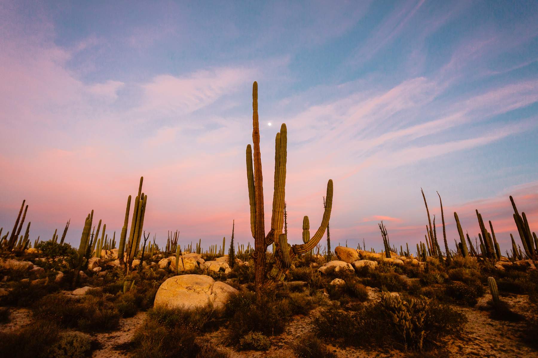 Mexico Wedding Photographers in Baja California Destination - Photo 9