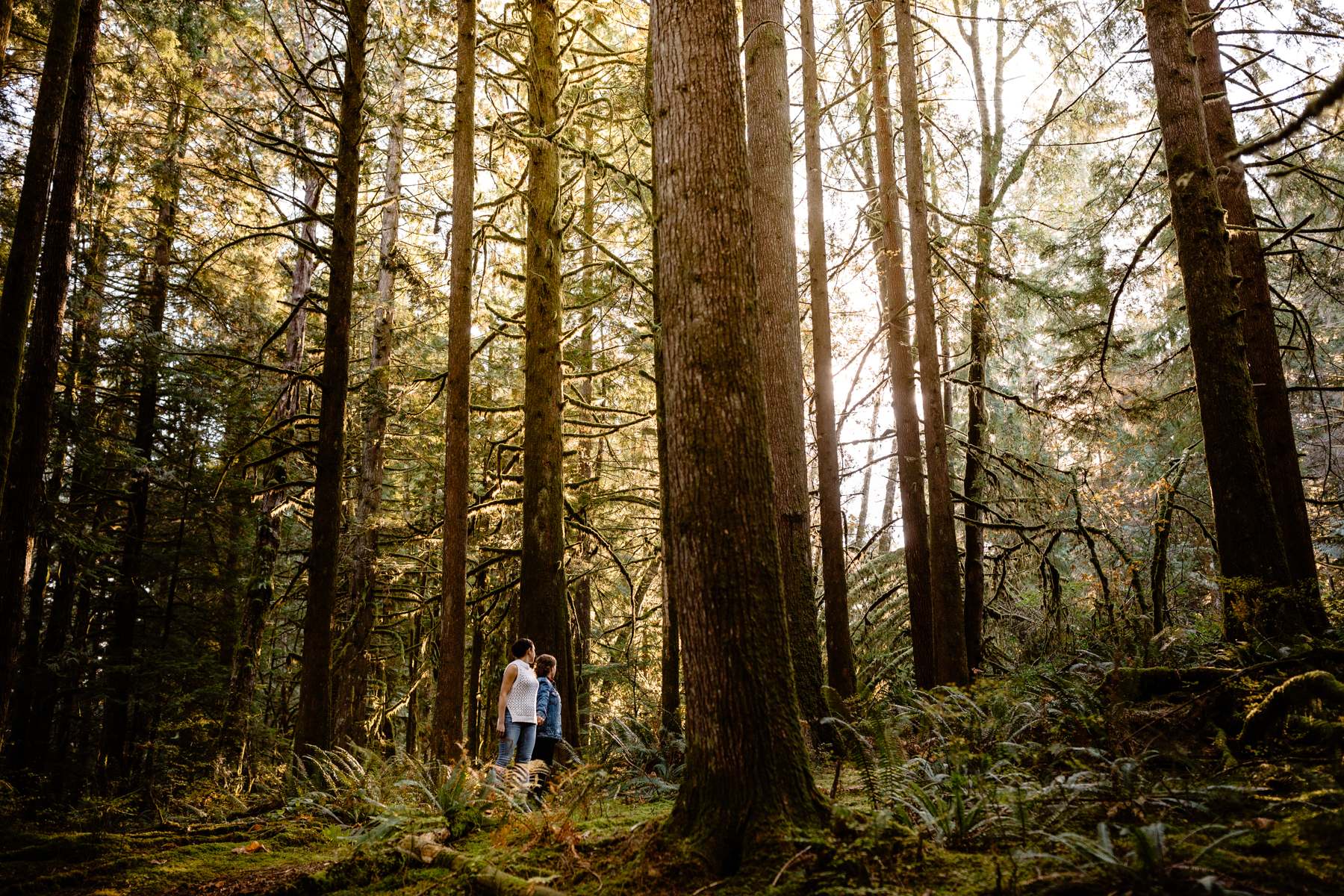 Vancouver wedding photographers at Golden Ears Provincial Park for LGBTQ engagement photography session