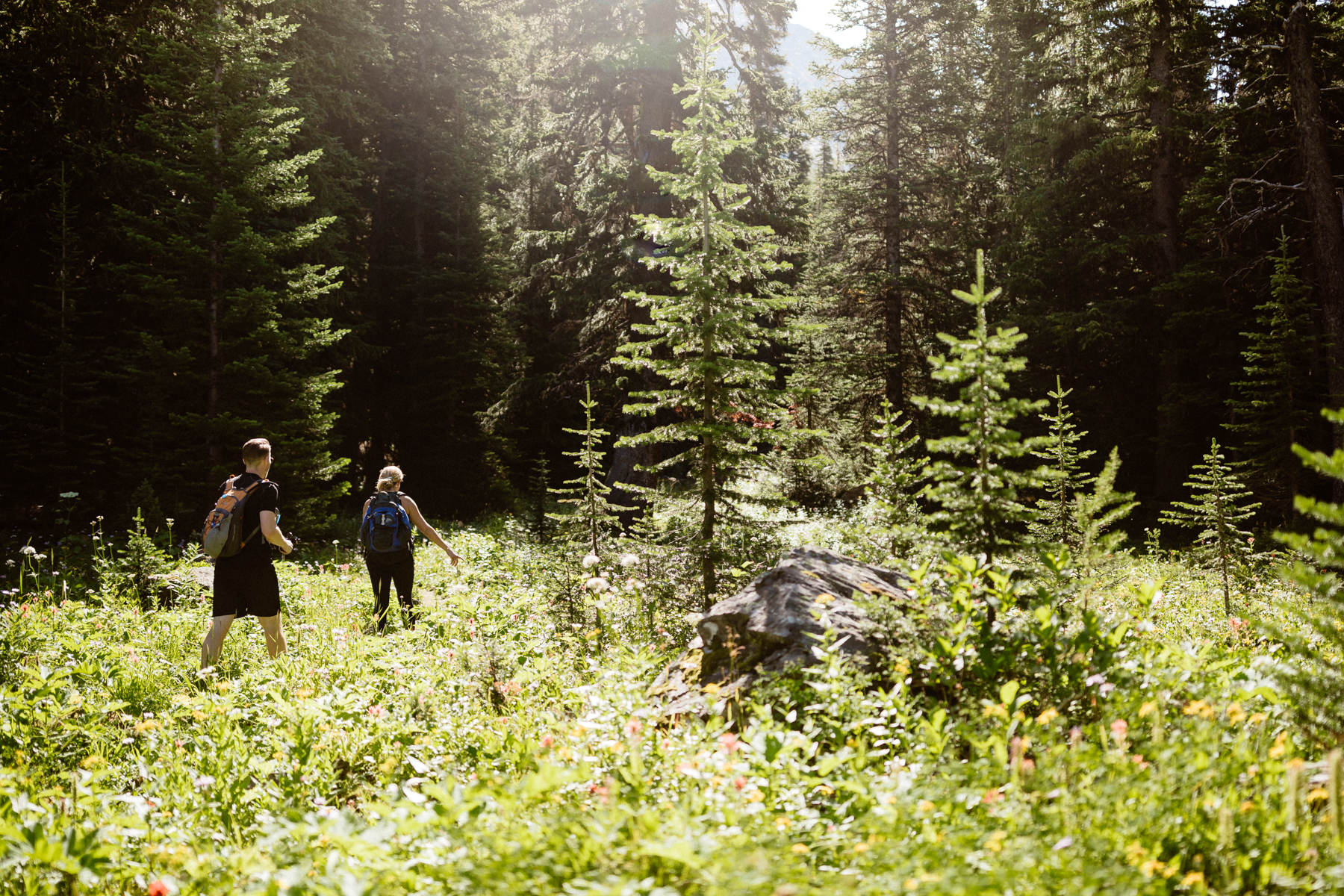 Adventure Elopement Photographers at a Hiking Wedding near Invermere - Photo 3