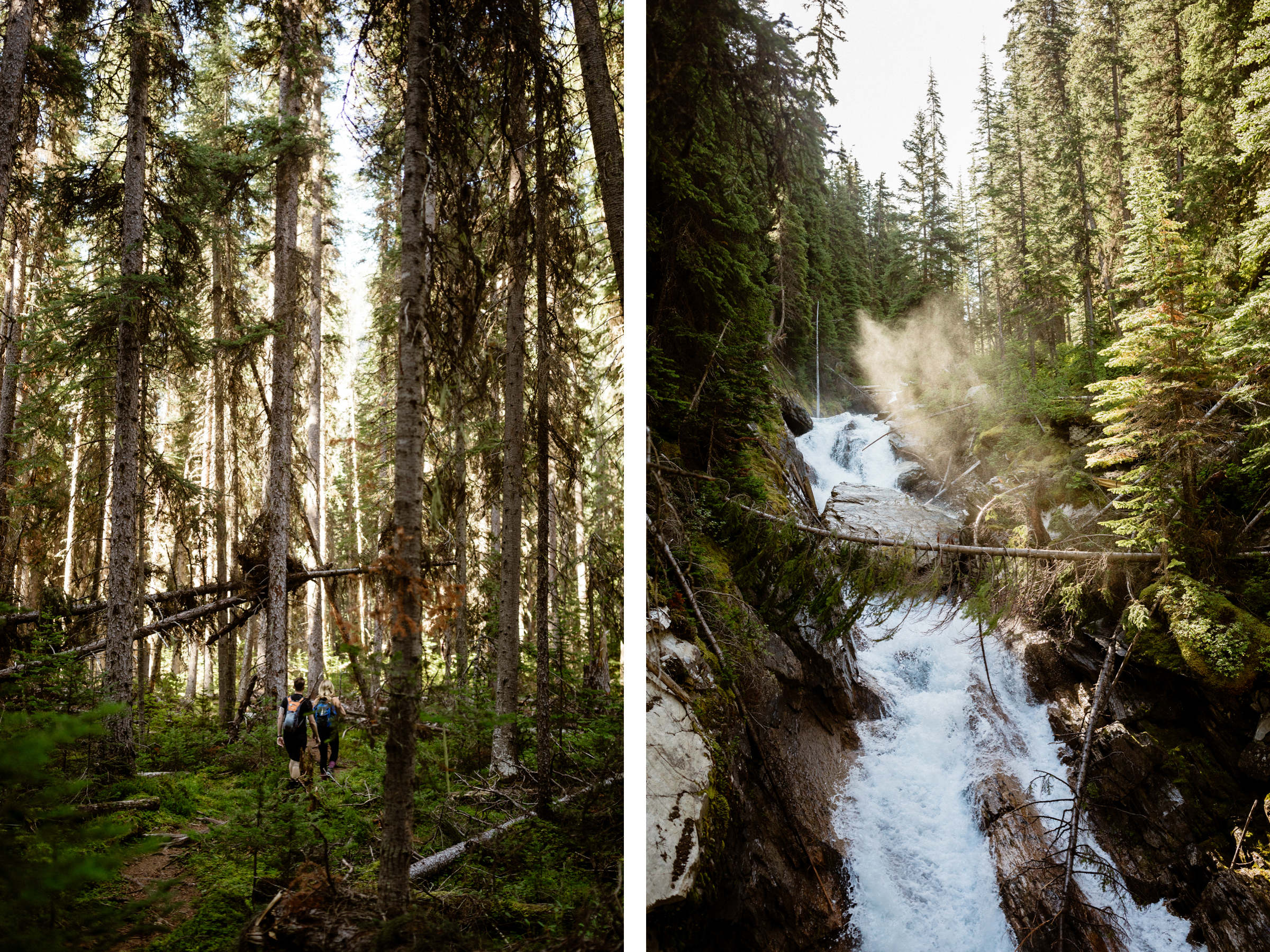 Adventure Elopement Photographers at a Hiking Wedding near Invermere - Photo 4