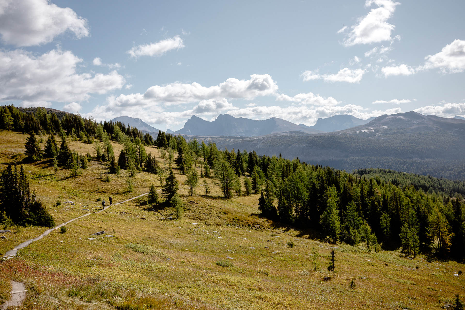 Backpacking Elopement in Banff National Park - Photo 49