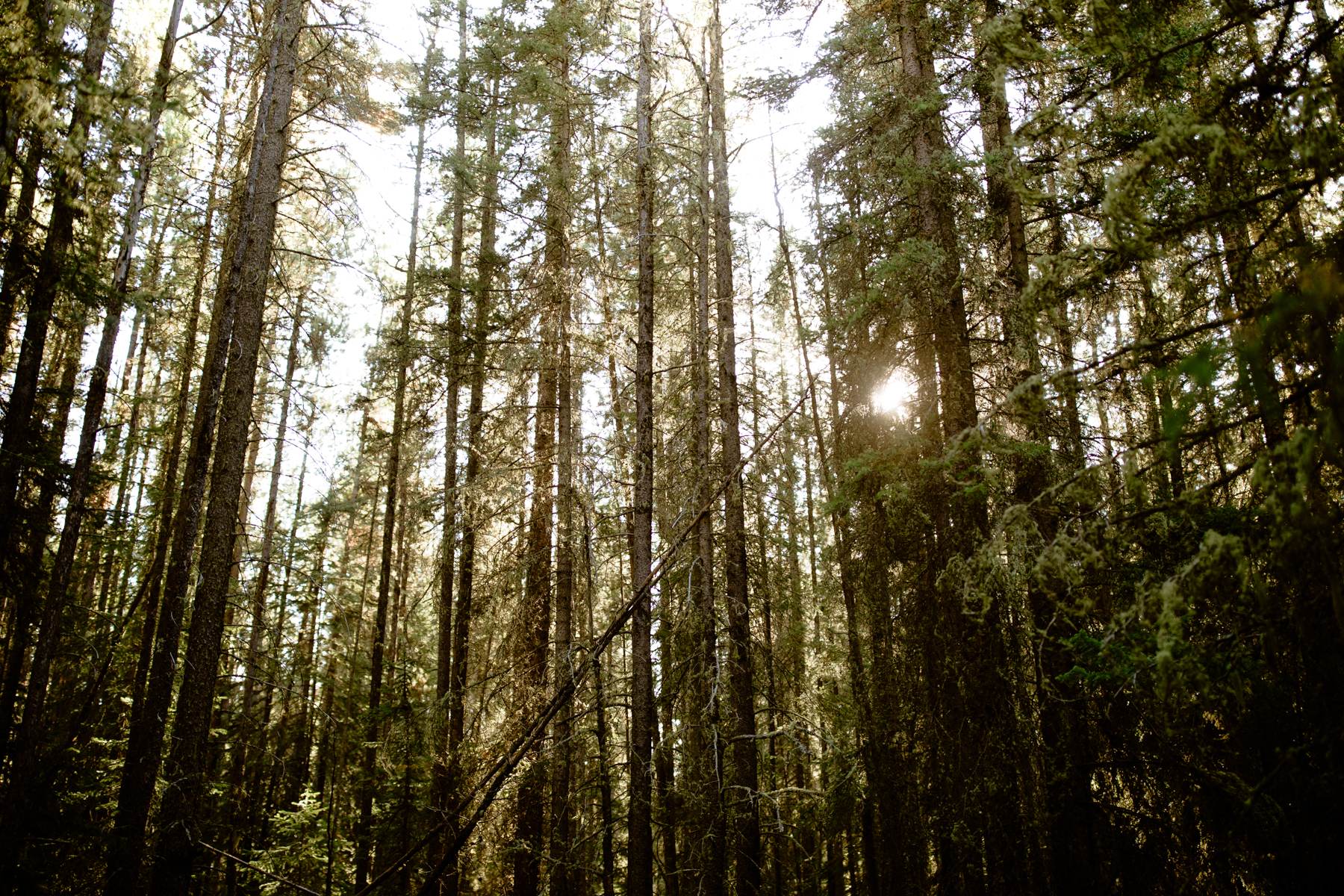 Backpacking Elopement in Banff National Park - Photo 50