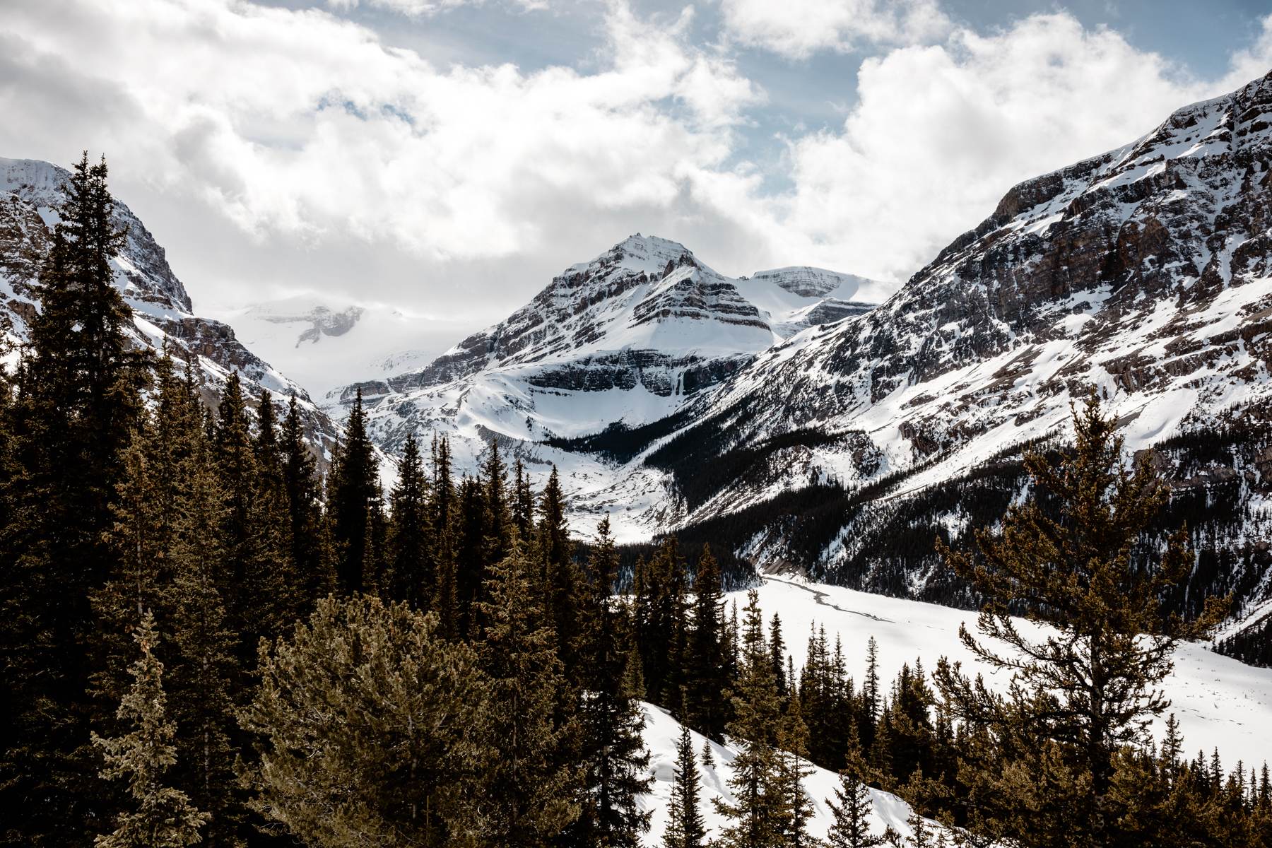 Banff National Park Elopement Photography with LGBTQ-friendly photographers - Image 5
