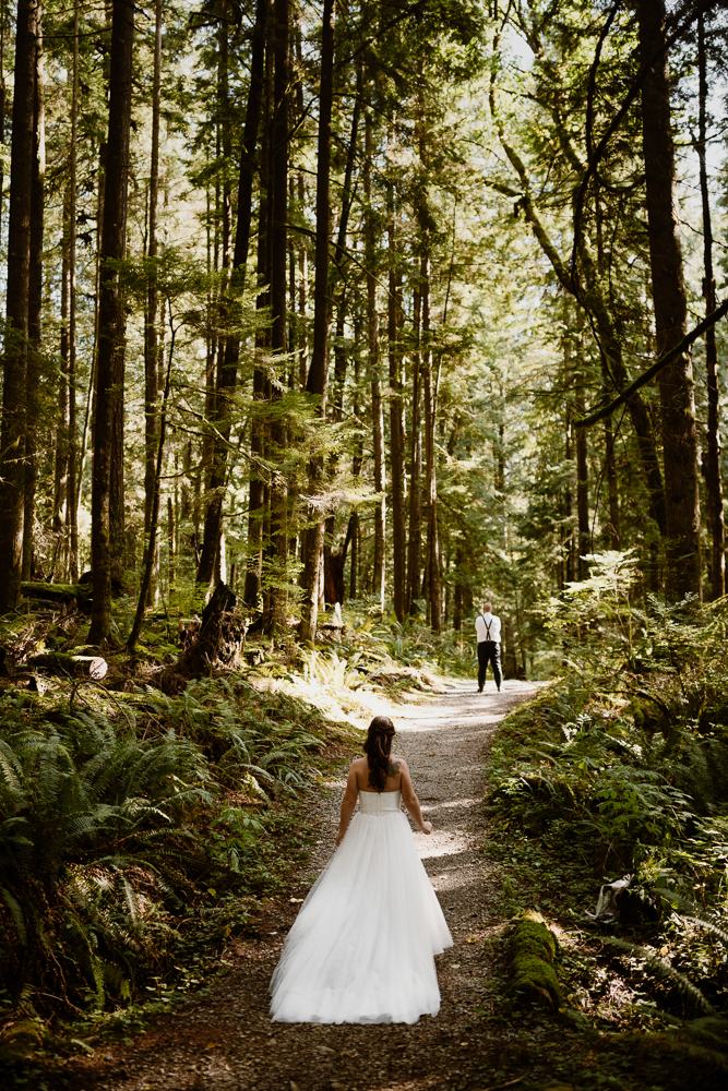 BC wedding photographers at a forest wedding in Vancouver