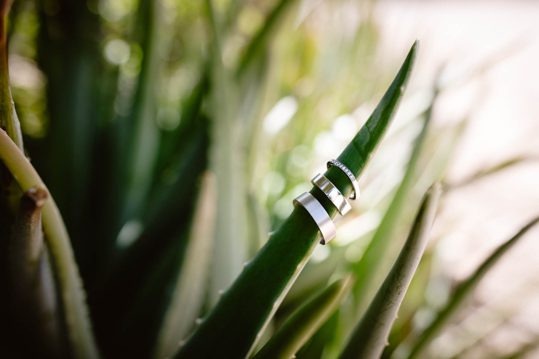 Cabo wedding photographers for a La Ventana Destination Elopement - Image 12