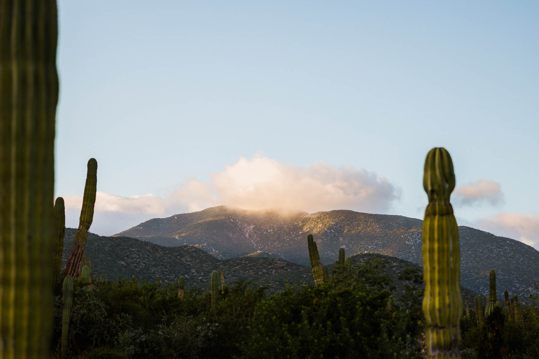 Cabo wedding photographers for a La Ventana Destination Elopement - Image 51