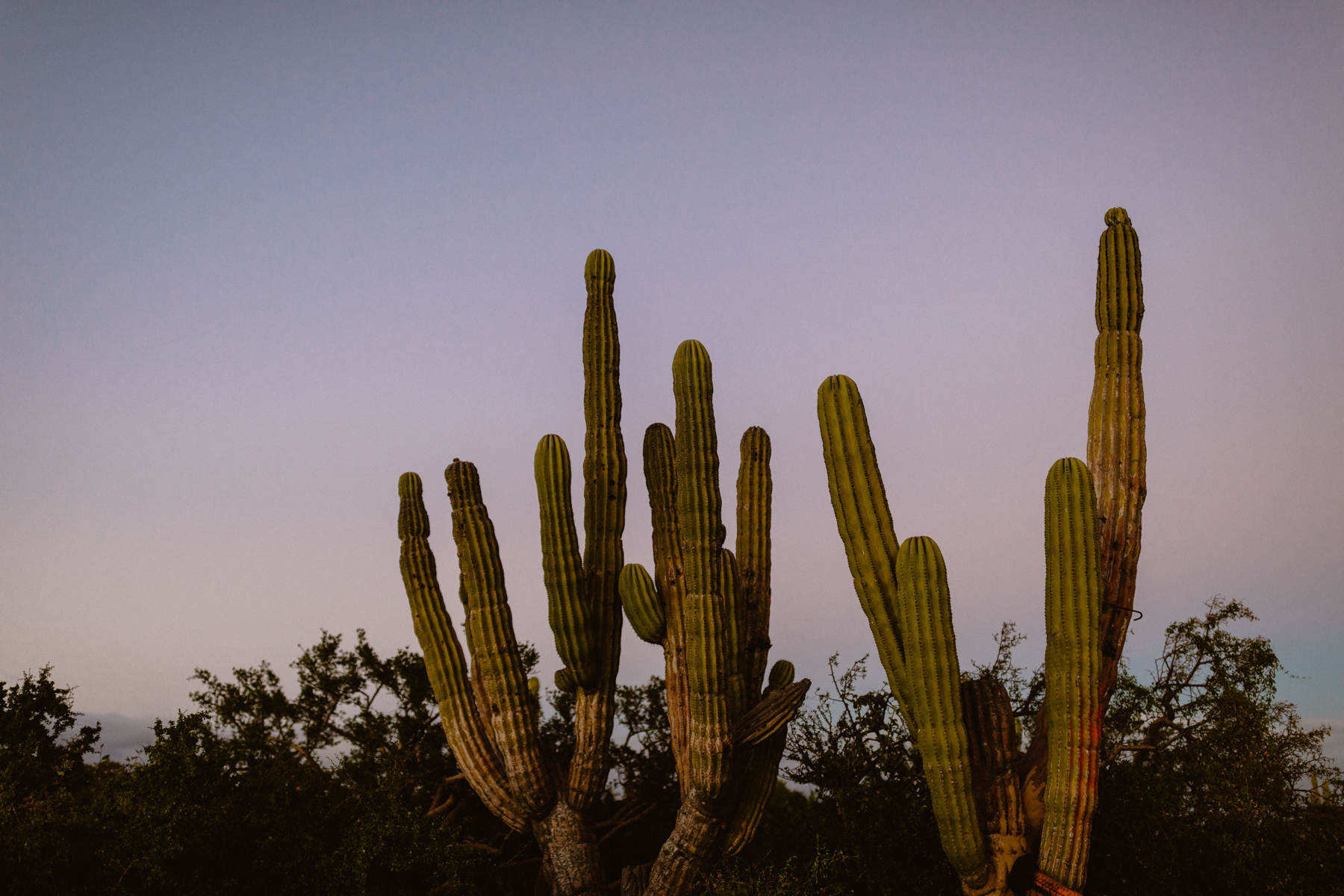 Cabo wedding photographers for a La Ventana Destination Elopement - Image 68