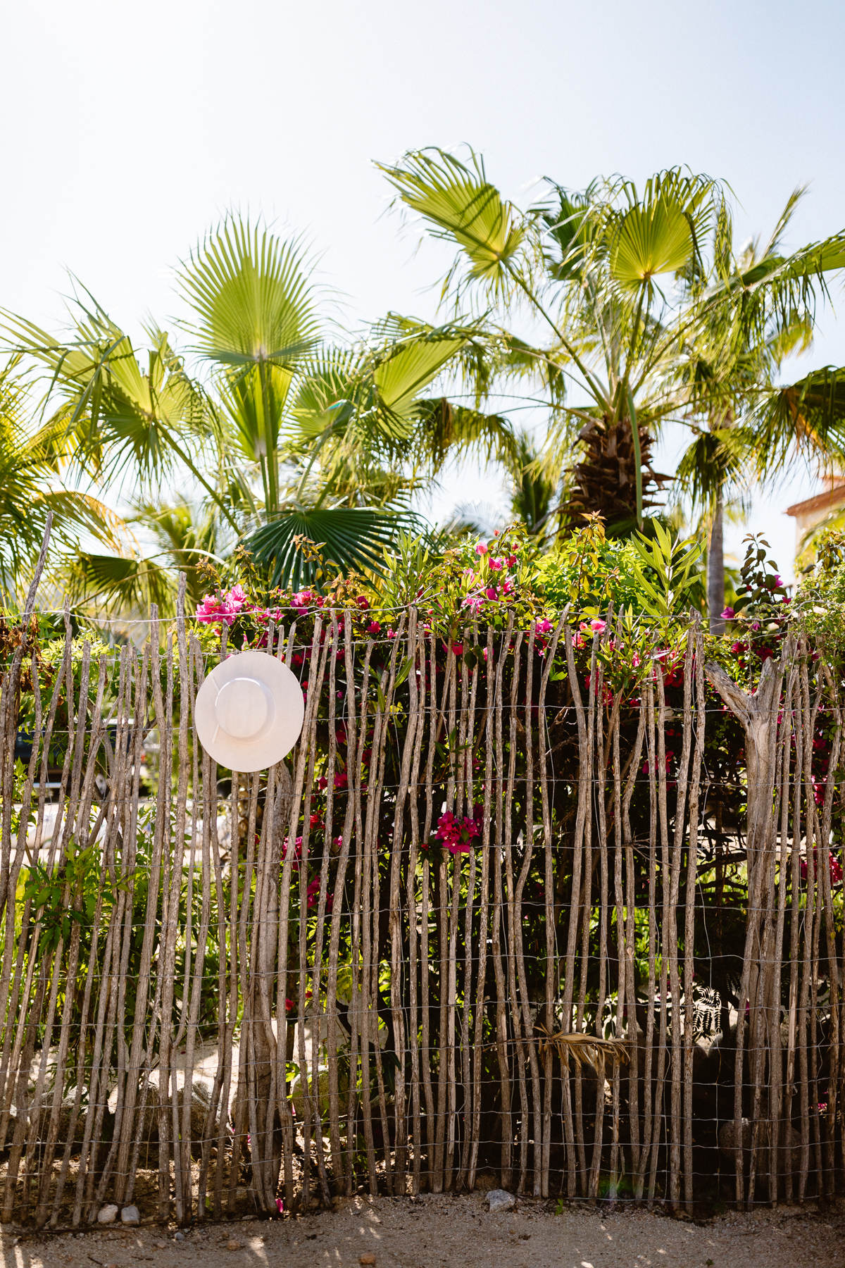 Cabo wedding photographers for a La Ventana Destination Elopement - Image 8