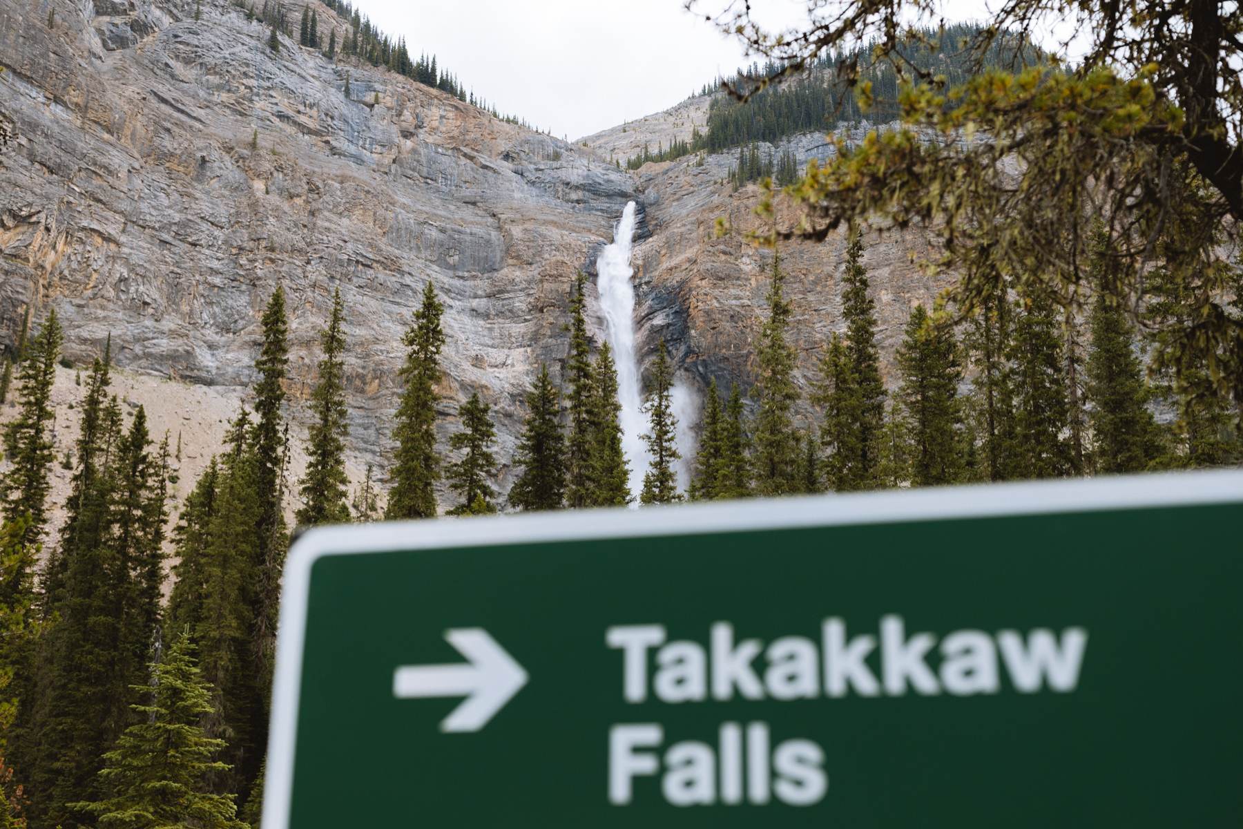 Emerald Lake Wedding Photos - 15