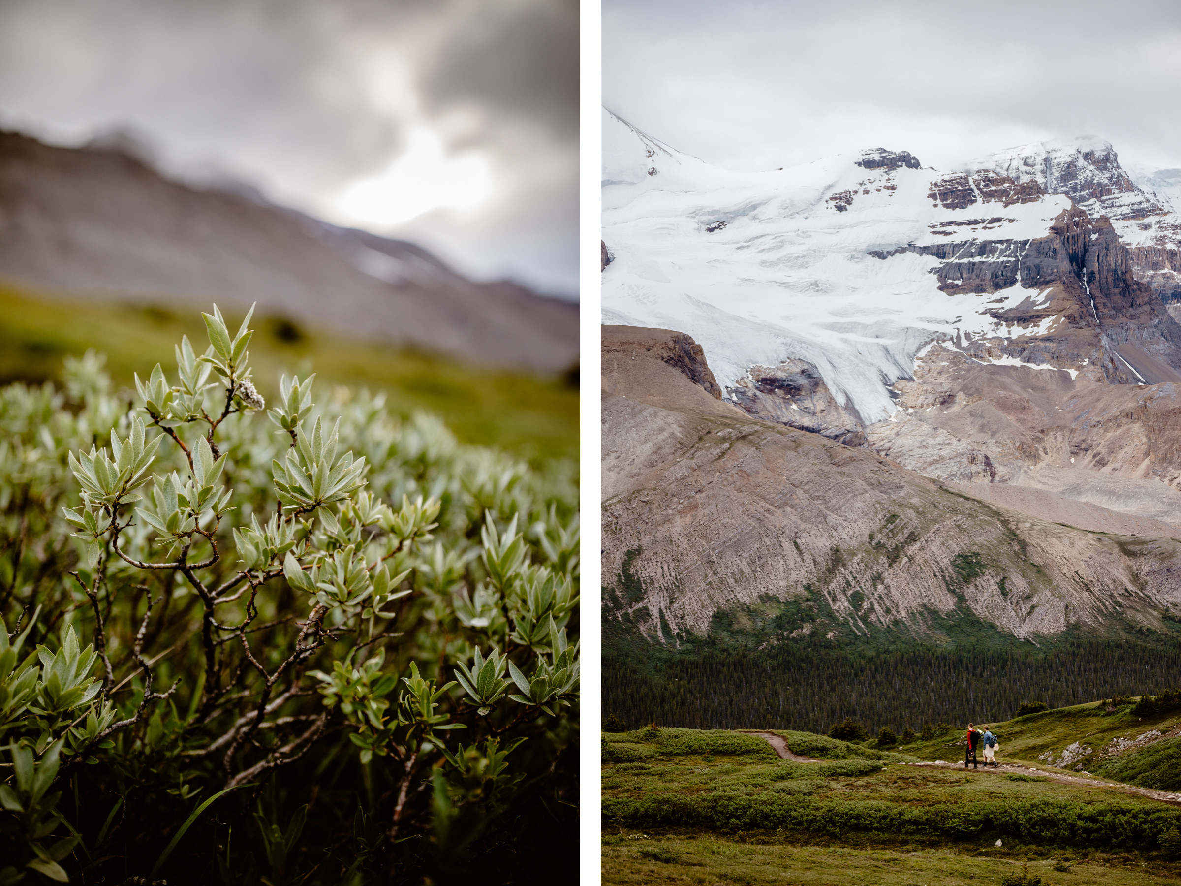 Hiking Elopement Photographers in Banff National Park - Photo 34